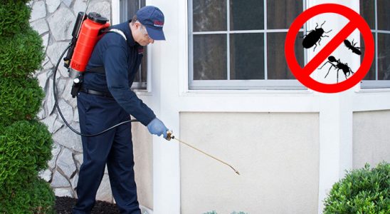 Gölköy Karınca İlaçlama böcek ilaçlama ve haşere kontrolü — ilaclama-tr.com